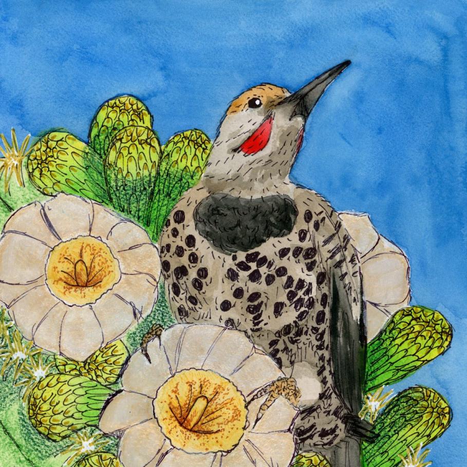 TUCSON BIRTHDAY ART CONTEST 2026